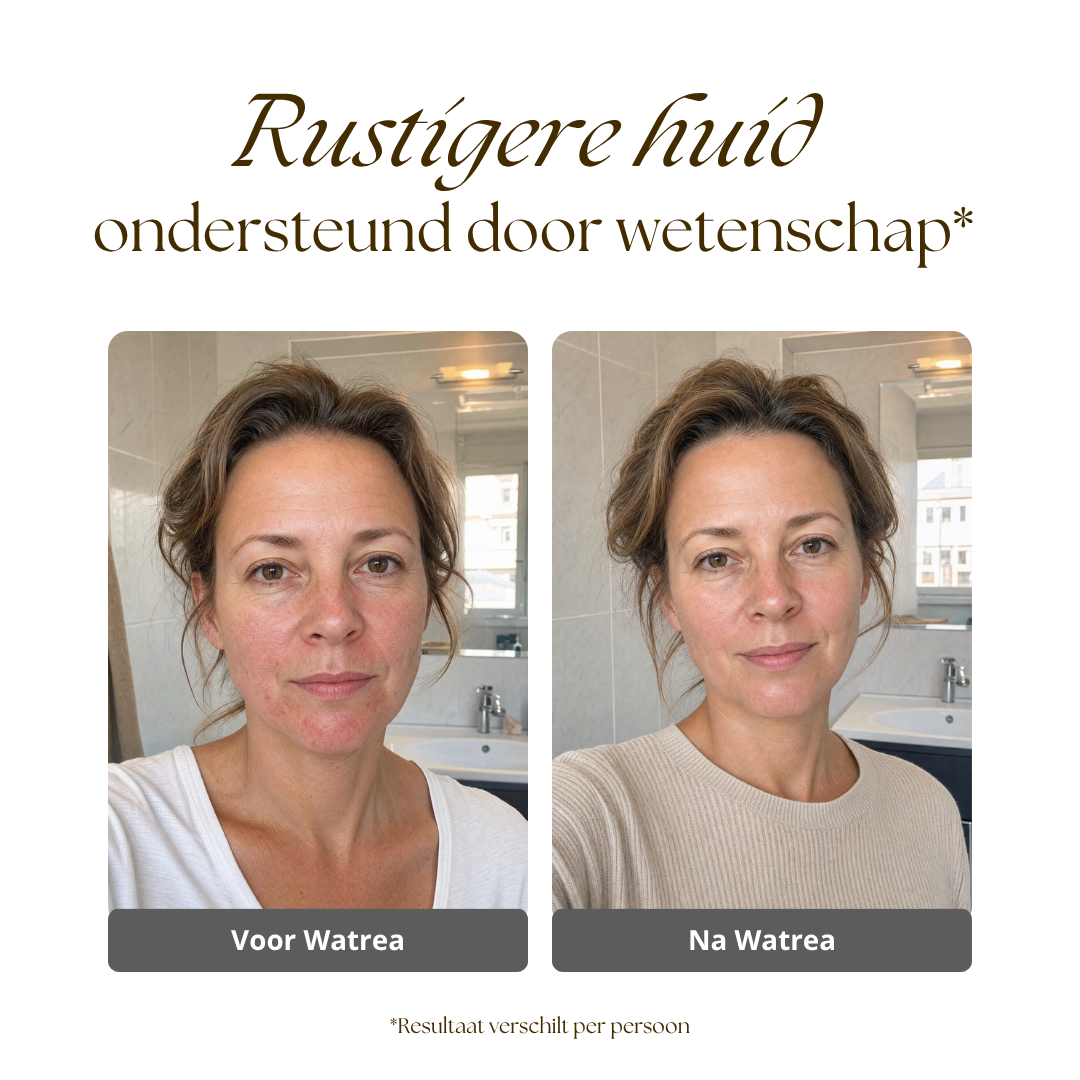 Watrea Filter Douchekop +